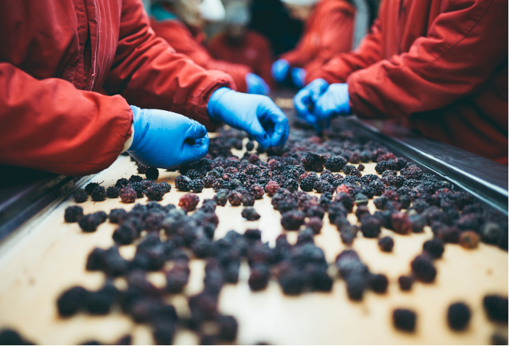 fruitlife-vacatures-werkenbijfruitlife-1